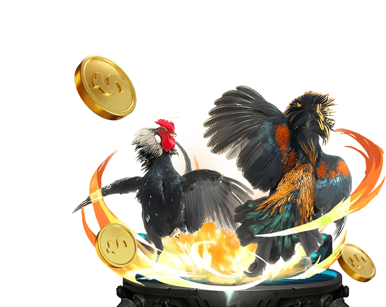 Cá cược bóng rổ jss77